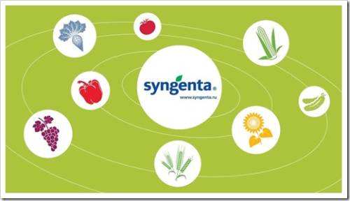 Преимущества использования агрохимикатов производства компании Syngenta